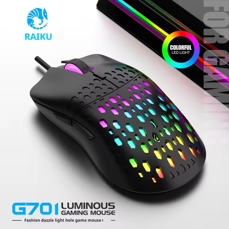 1. Raiku 유선..