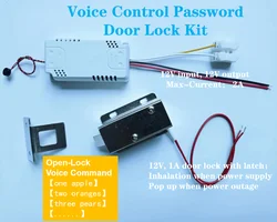 DYVL01 Voice Lock Voice Recognition Controller Password Open Door Secret Language DIY Creativity Door Lock