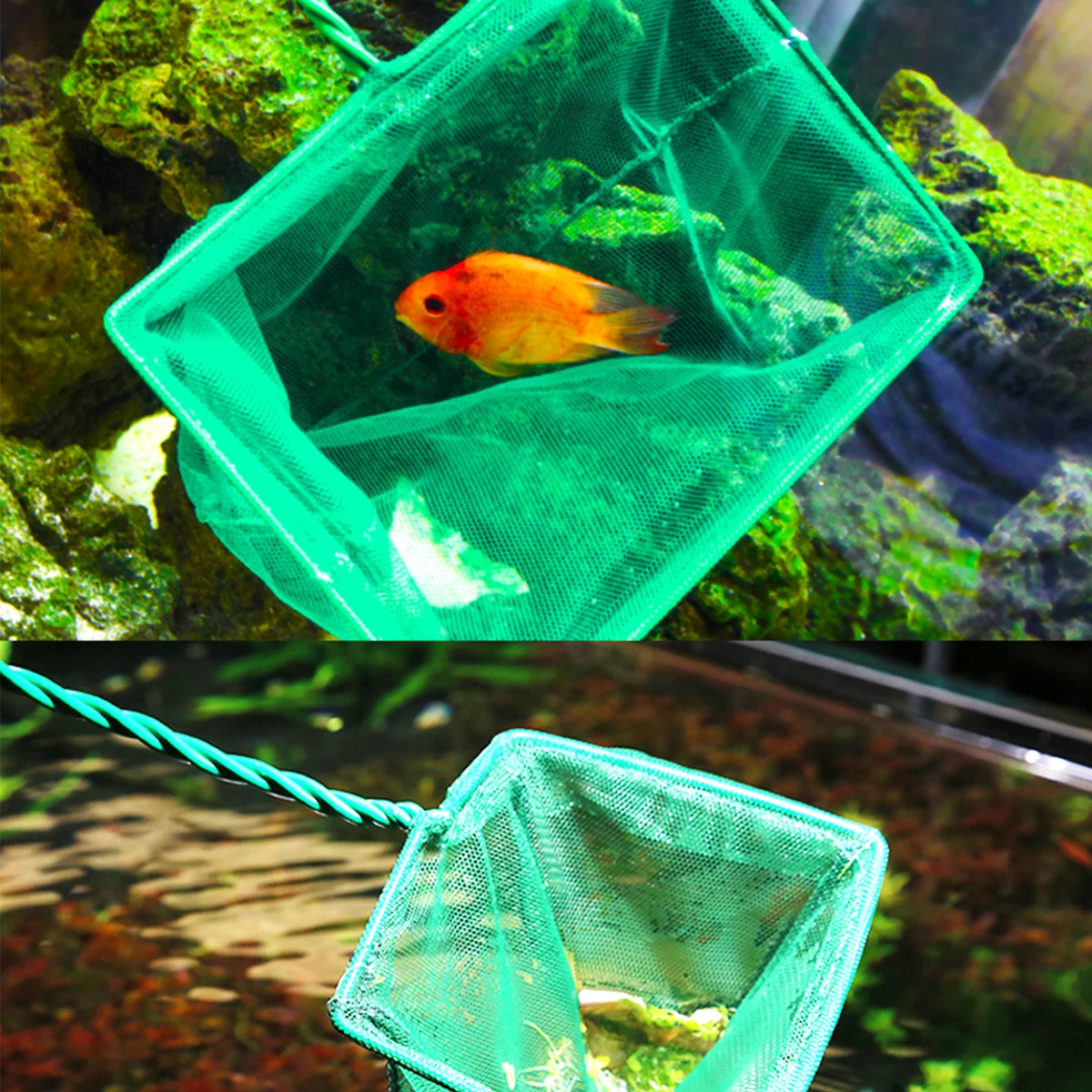 

4Pcs Mini Fishing Net Lightweight Shrimp Net Easy Use Fish Landing Net for Aquarium Fish Tank Pond