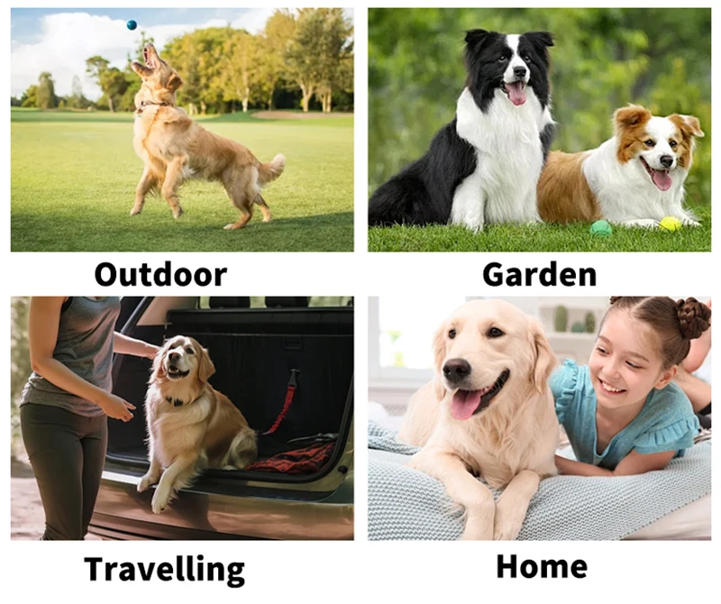 Neue 6PCS Haustier Waschfreie Handschuhe Katze Bad Deodorant Tücher Einweg Reinigung Trockenen Reinigung Hund Tücher Sanfte Und bequeme Handschuhe – Detail 6
