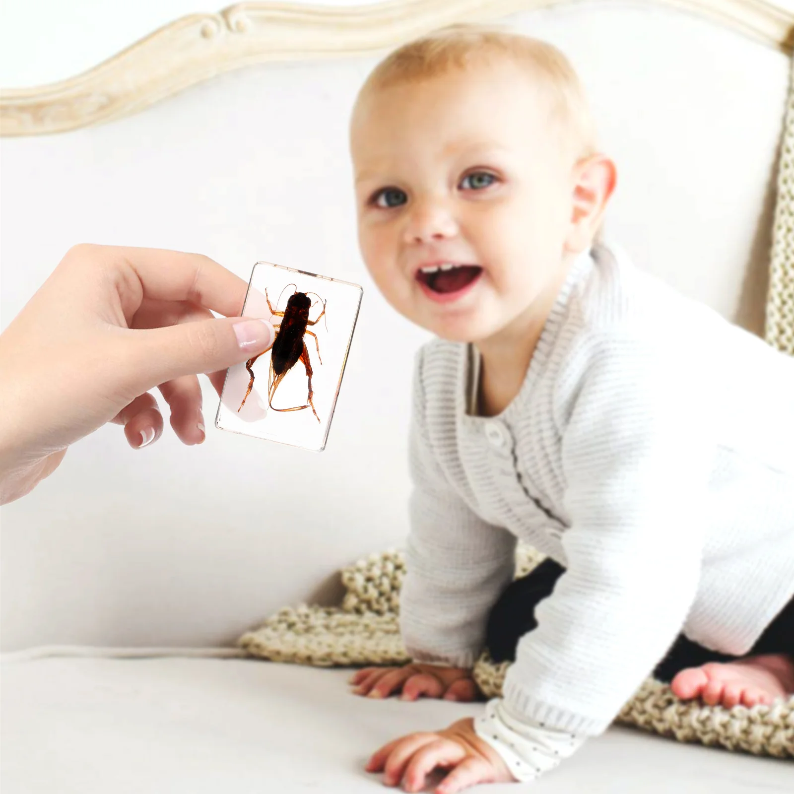 

Creative Resin Cricket Specimen Collection Lightweight Specimen Decoration Resin Crafts Decorative Educational Tool For