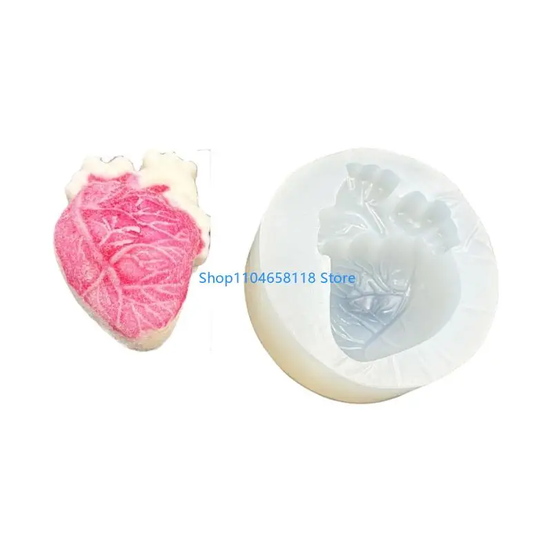 

Realistic Heart Organ Mold Educational Tool Art Projects Silicone Mould