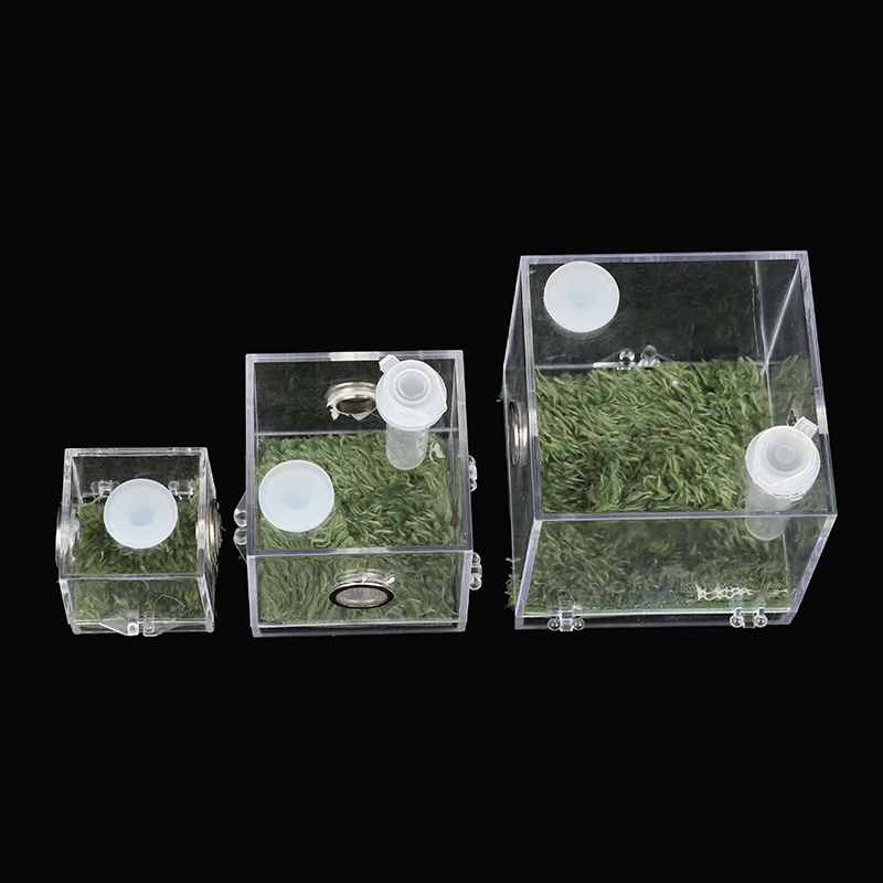 Small Spider Ant Farm Insect Breathable Terrarium Transparent Reptile Breeding Box Acrylic Acrylic Assembled Eco Box