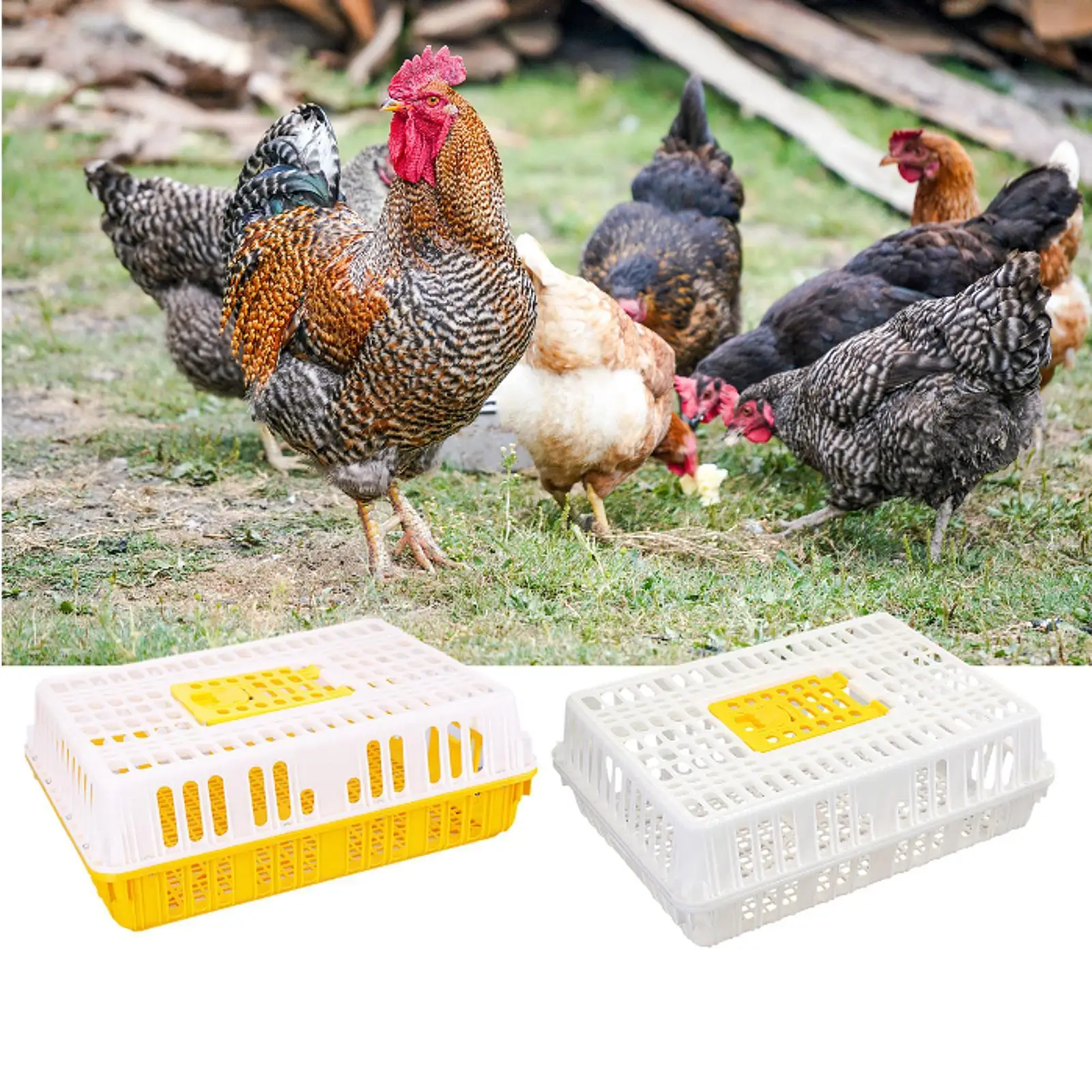 

Chicken Transport Crate Carrier Cage Habitat Assemble Poultry Carrier Crate for Poultry Breeding Hideaway Rutin Chicken Sleeping
