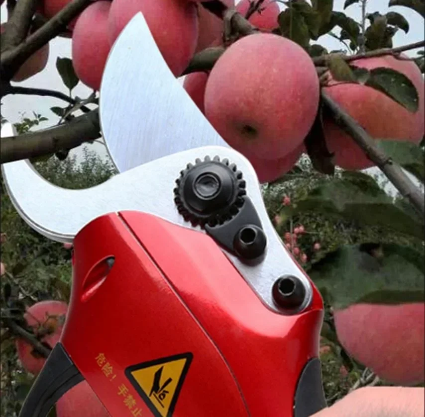 45 mm schneidender Obstgarten- und Obstbaum. Elektrische Gartenschere zum Beschneiden