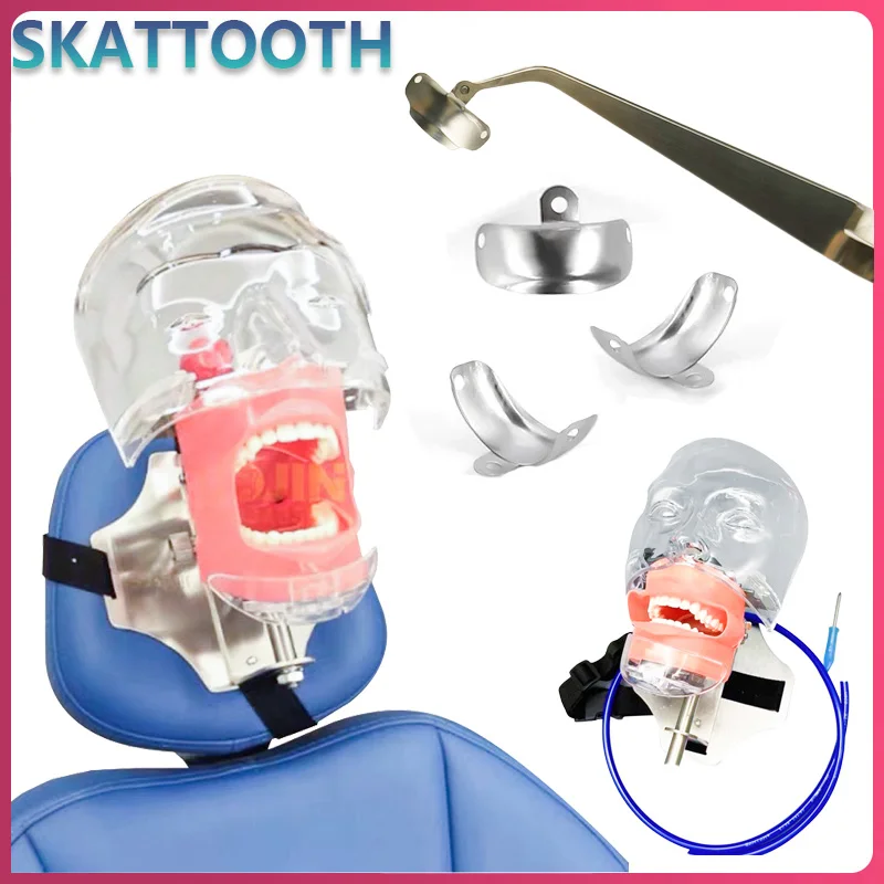 

Dental Practice Training Manikin Dental Sectional Contoured Matrix System Stainless Steel Tweezers Laboratory Teaching Tools