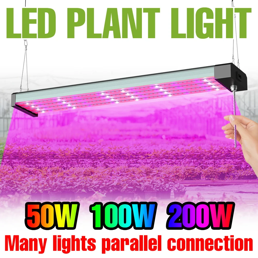 

200W LED Plant Growth Lamp Full Spectrum Quantum Board Hydroponics Flowers Fill Lighting For Greenhouse Tent Growbox Cultivation