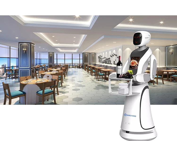 Intelligent Waiter Robot with Cute Shape Robots Humanoids Smart Intelligent for Delivery Robot