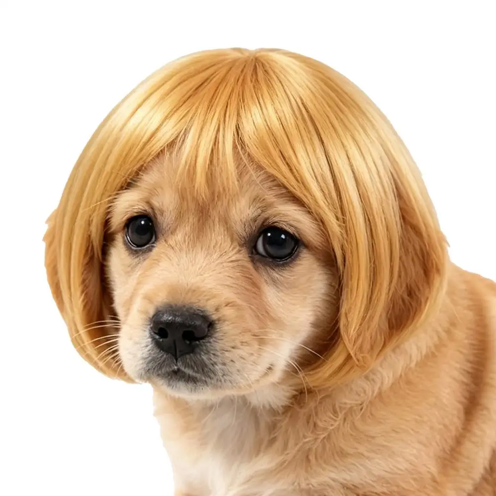 Hundeperücke-Kollektion Lustige Cosplay-Festivals Partys Dekorative Kleidung für Hunde und Katzen Halloween Haustier-Requisiten Zubehör – Detail 2
