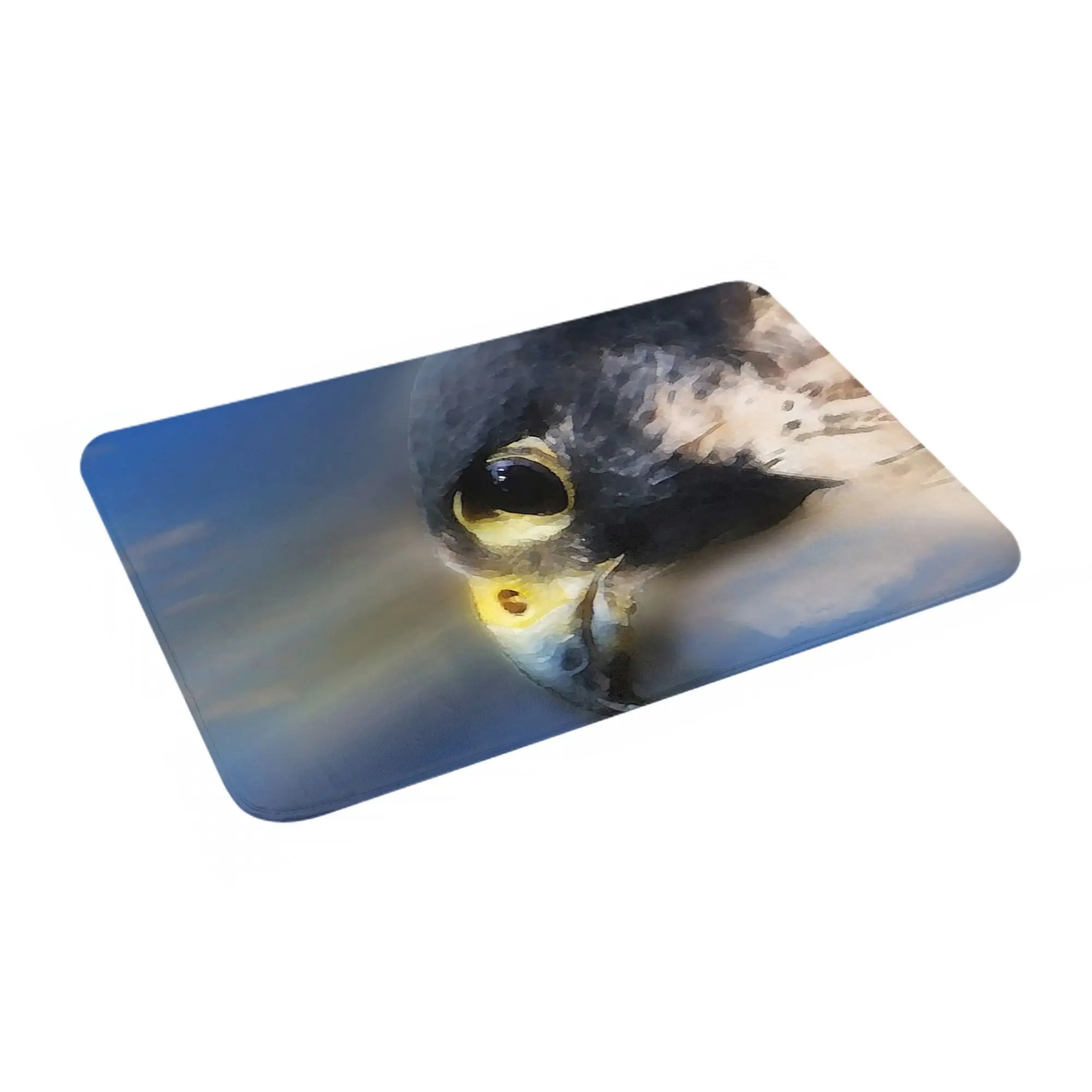 

IN SIGHT Non-slip Doormat Floor Mat Washable Carpet Rug for Kitchen Entrance Home Balcony Footpad Mats