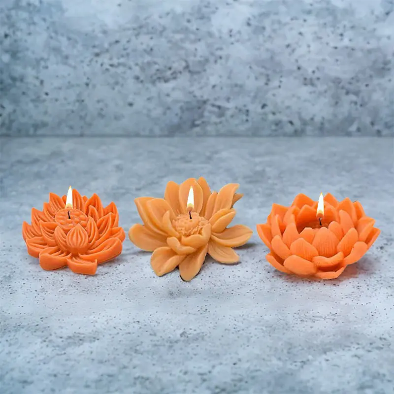 1 Piece, Lotus Flow…