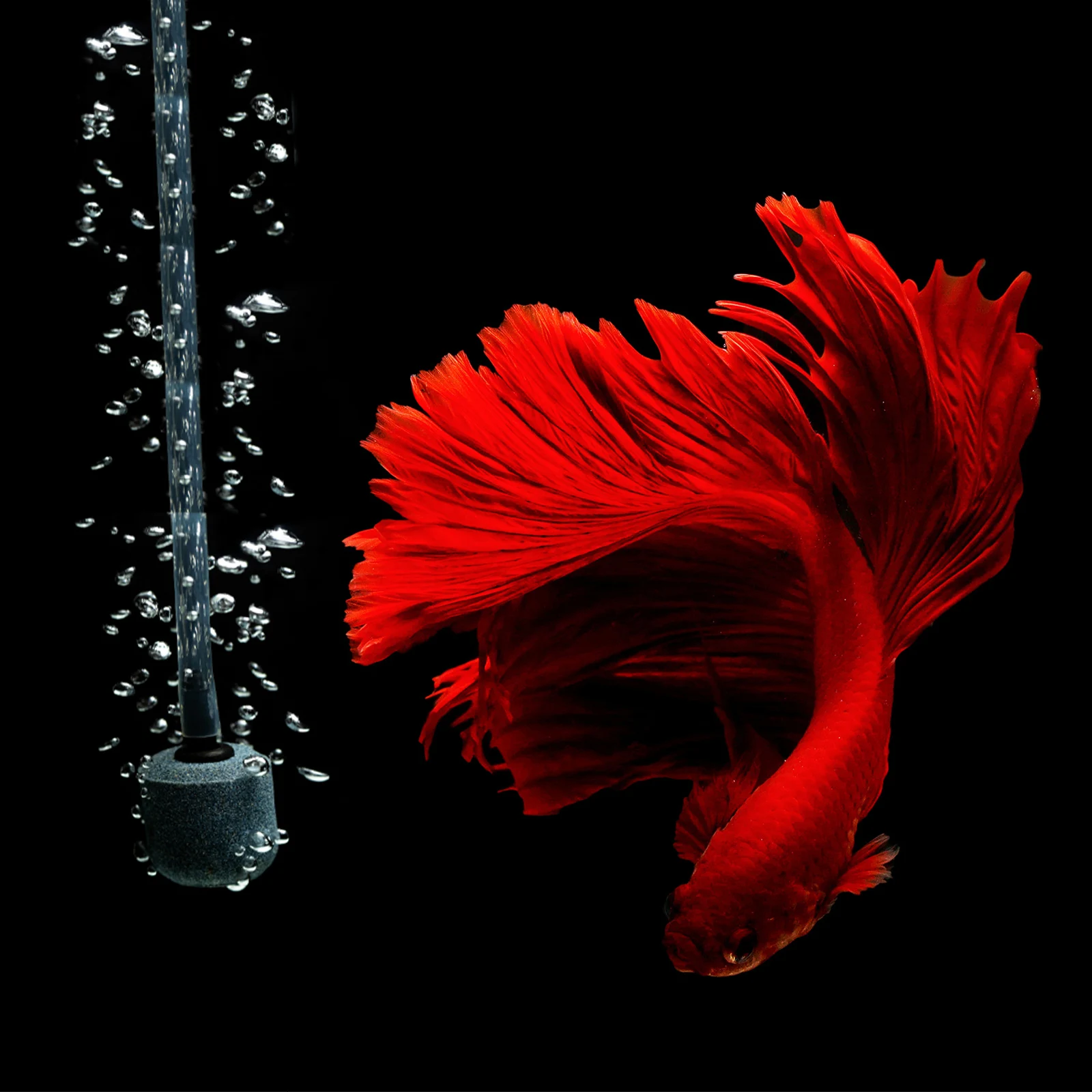 

USB Oxygen Fish Tank Aerator Mini Usb Oxygen Aquarium Air Pump Pump Home Fish Tank Aerator Outdoor ABS Copper Easy Install