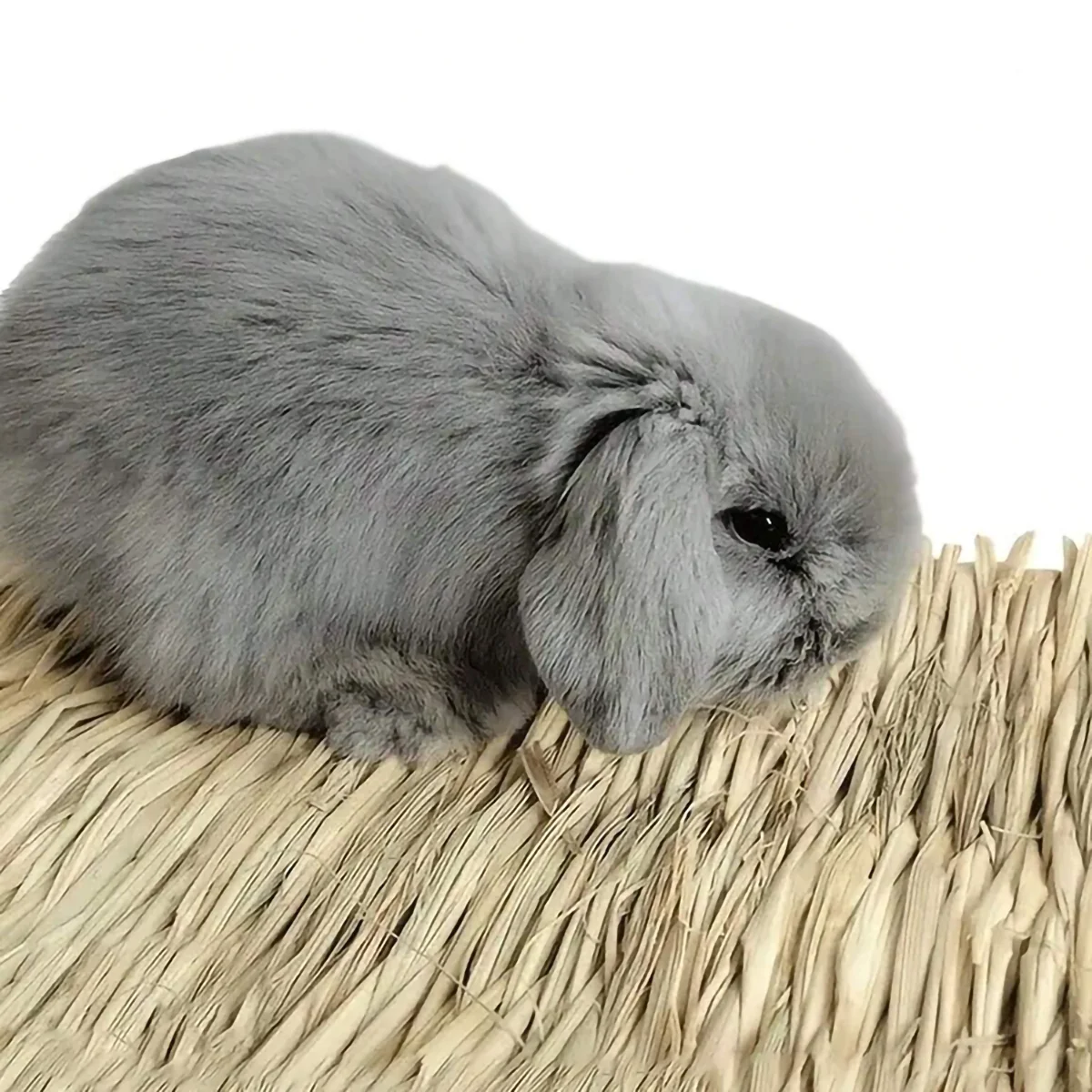 1pc-Rabbit grass mat, rabbit woven hay mat, small animal natural straw mat, hamster resting cage mat