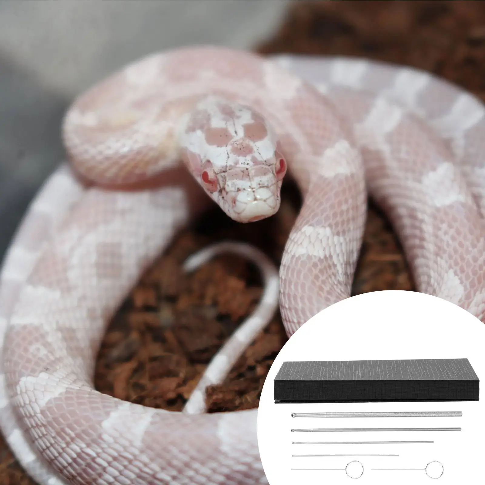 

6Pcs Snake Sexing Probe Professional Stainless Steel Reptile Gender Portable Reliable Snake Gender Detection Tool Kit