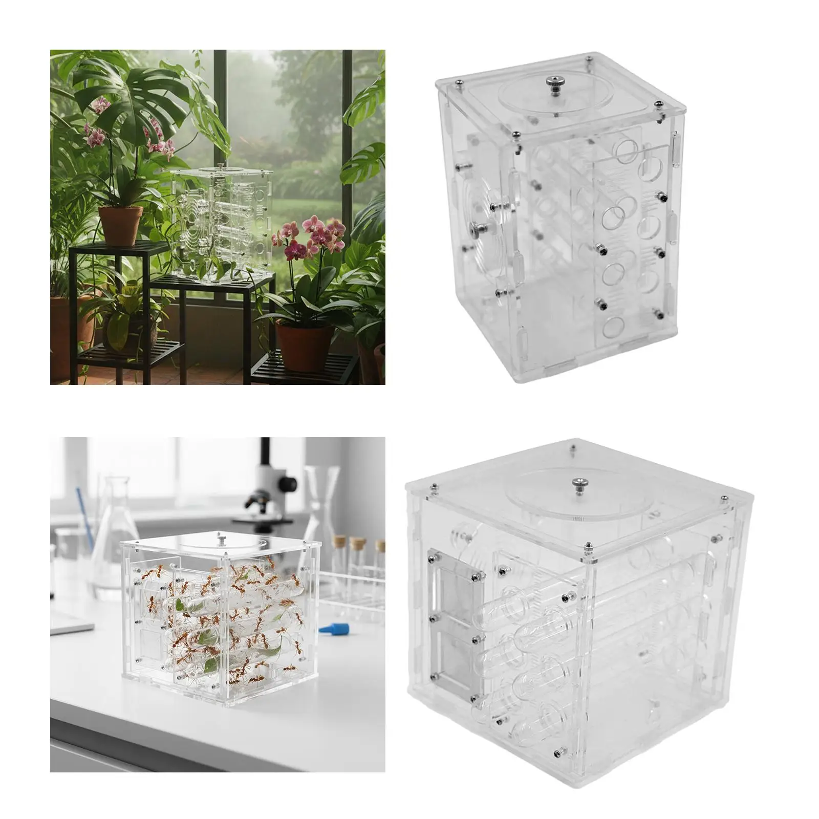 SMALL Farm Display Box Starter Kit Transparent Indoor Birthday Gift Compact Learning Educational Formicarium SMALL House