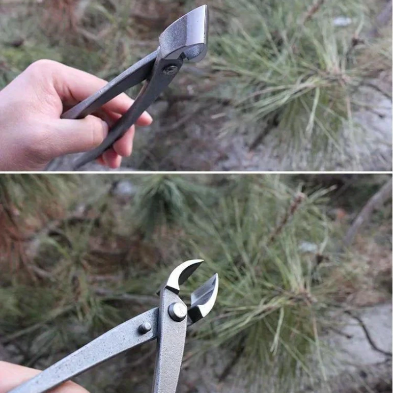 بونساي مقبض القاطع مقعر حافة القاطع 210 مللي متر الجذر كماشة القطع الكرة القص مقص لحديقة بونساي المشهد النمذجة248