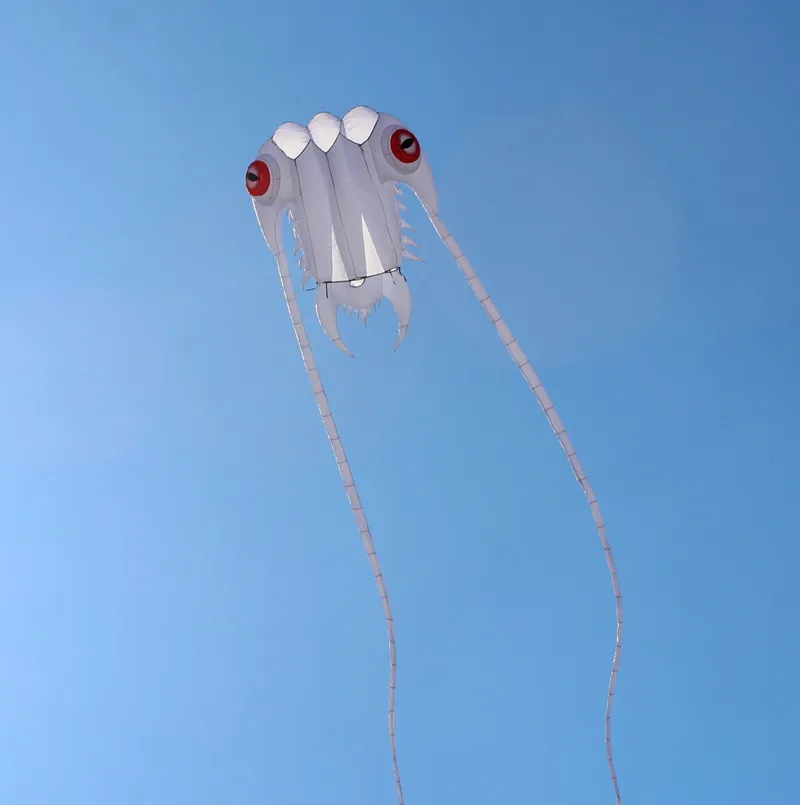 Weißer Trilobites-Drachen fliegend für Erwachsene, Drachen, Nylon, weiche Drachenrolle, aufblasbare Drachen, Spielzeug, professioneller Fallschirm, Windsurfen, Koi