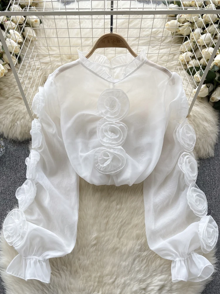 High Quality Organza Women Blouse 2024 Ruffles Neck Long Sleeves Loose Sweet Top Korean Style 3D Floral Sheer Shirt