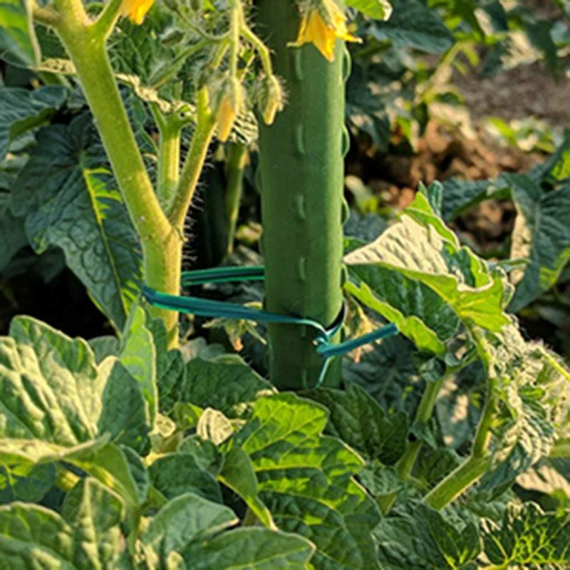 Berkebun kawat terpilin dengan berkebun memutar kawat hijau, penggunaan di rumah, kantor (20M, hijau)