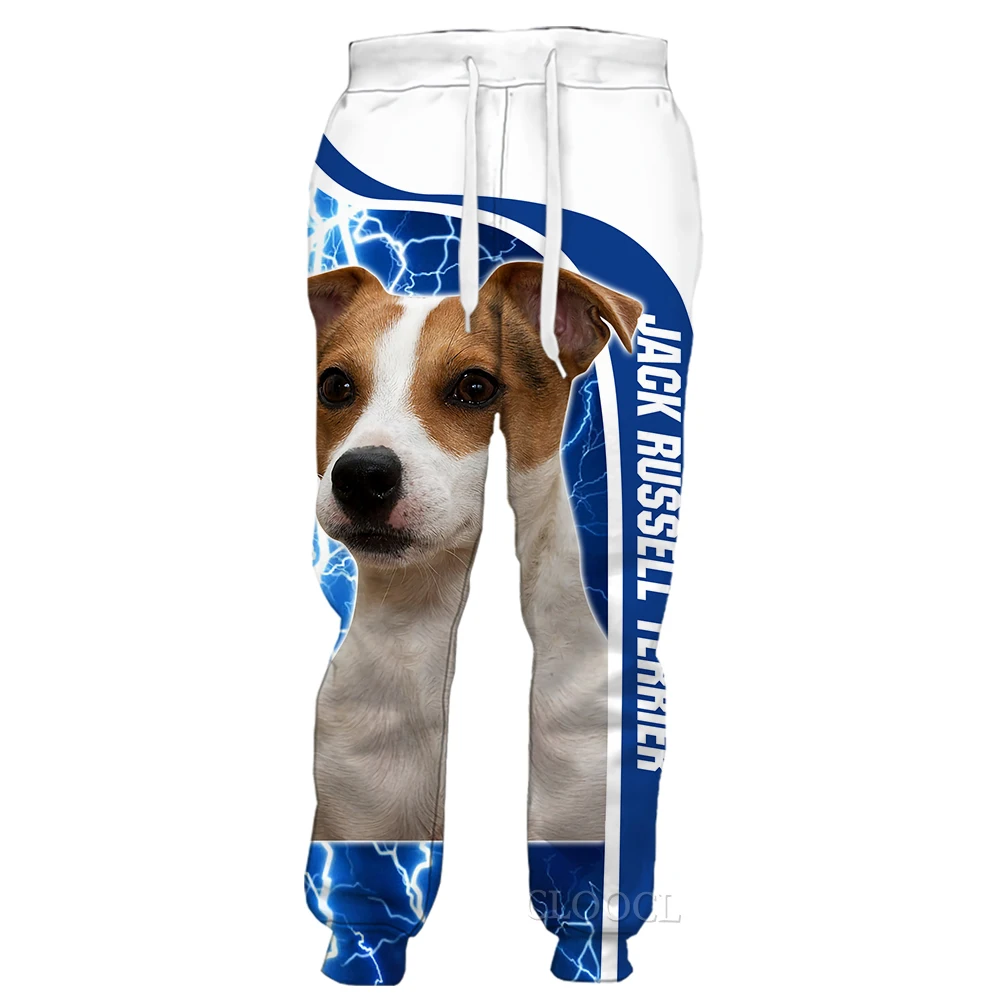 Cloocl calças masculinas estilo moda stanford bulldog 3d impresso calças femininas calças casuais hip hop streetwear calças de jogging