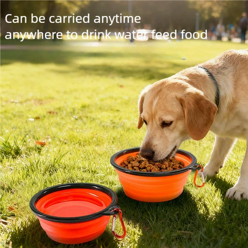 #20 Best Collapsible Dog Bowls to Buy In 2026