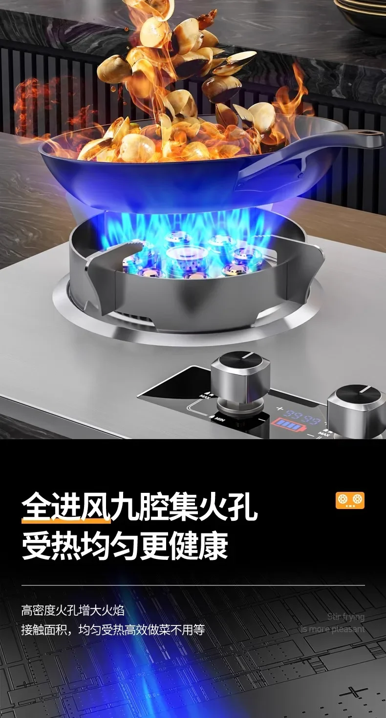 Royalstar Gas Stove Double Burner Built-in Desktop Natural Gas LPG High Power Cooker