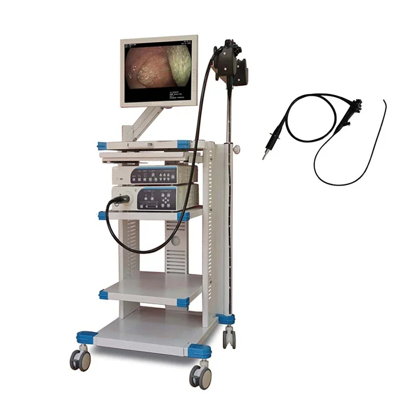 One Stop Supplier Animal Pet Clinic Flexible Veterinary Video Hd Digital Gastroscope Colonoscope Gastroscope Endoscope