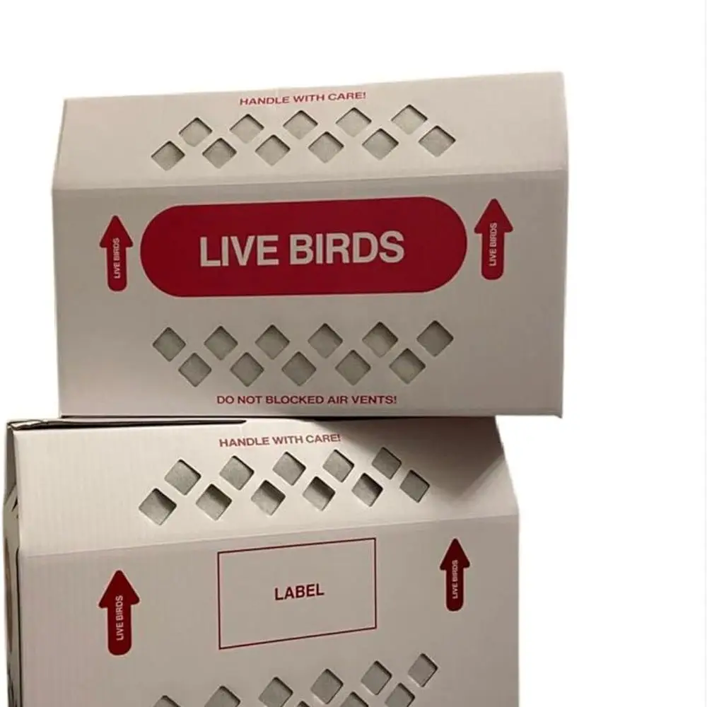 

Live Bird Shipping Box Less Expensive Size 18" x 8" x 12" Tall - Compact, White, Latch - Perfect for Parrot, Pigeons, Canaries &