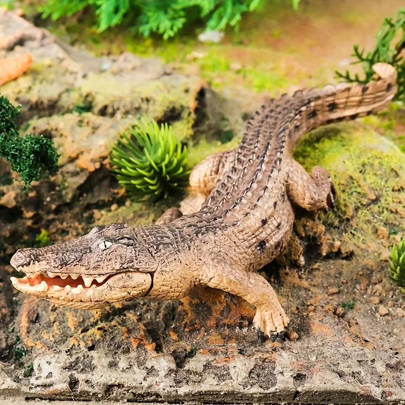 Large Size Realistic Crocodile Model Statue Solid PVC Wildlife Decoration for Home Cake Toppers Desktop Display