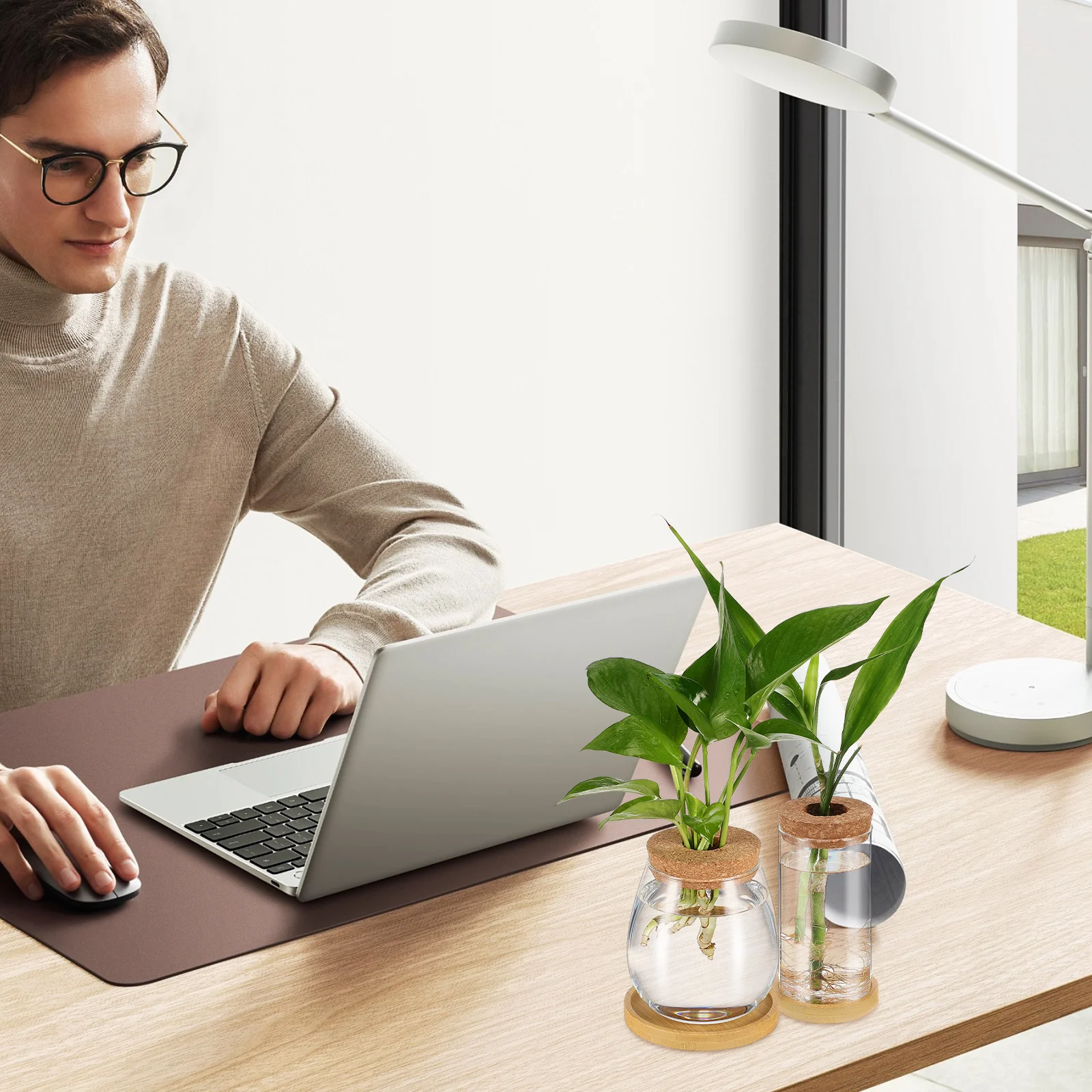 

2Pcs Indoor Hydroponic Plant Glass Propagation Vases Cork Lid Planters with Tray Plants Terrarium Jar Hydroponic Vases