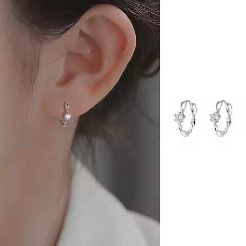 925 Sterling Silver Zircon Ring Stud Earrings For Women Wedding Elegant Luxury Designer Jewelry Wholesale Prevent Allergies