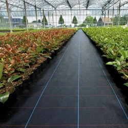 0.6m Width Anti Grass Mulch Cloth Pitaya Weed Barrier Mat Orchard Humitifing Warm Breathable Garden Flowers Potting Plant Cover