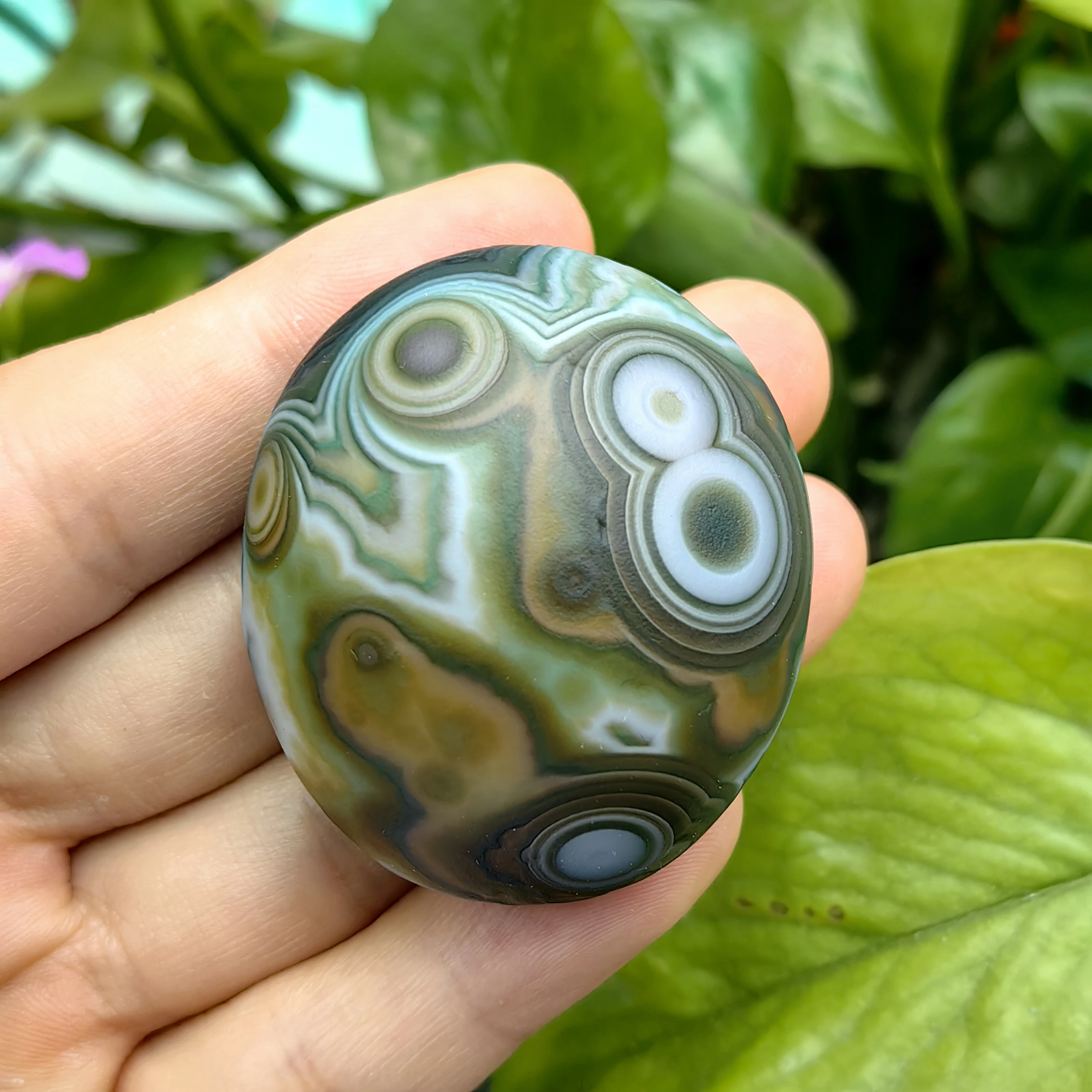 Natural Layered Bands Unique Eye Pattern Agate Unpolished Gobi Stone for Crafting Display Rare Mineral Specimen