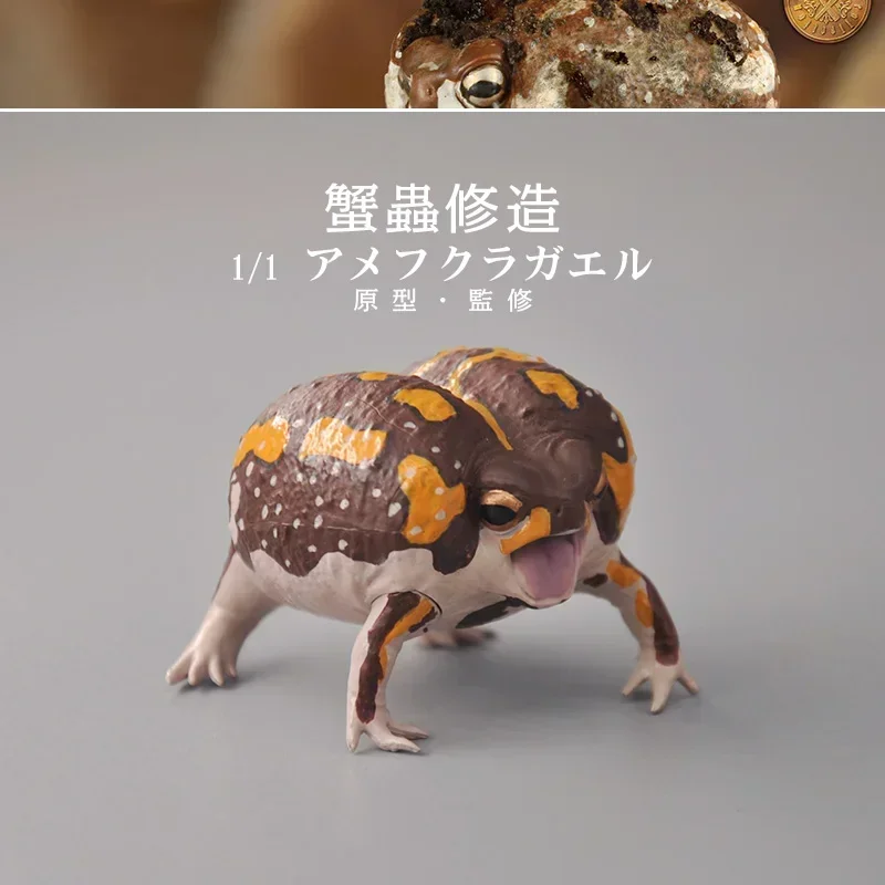 SO-TA Kawaii 1/1 Animal Replica Reptiles Models Mantou Frog Anime Figure Cute Capsule Toys Gift