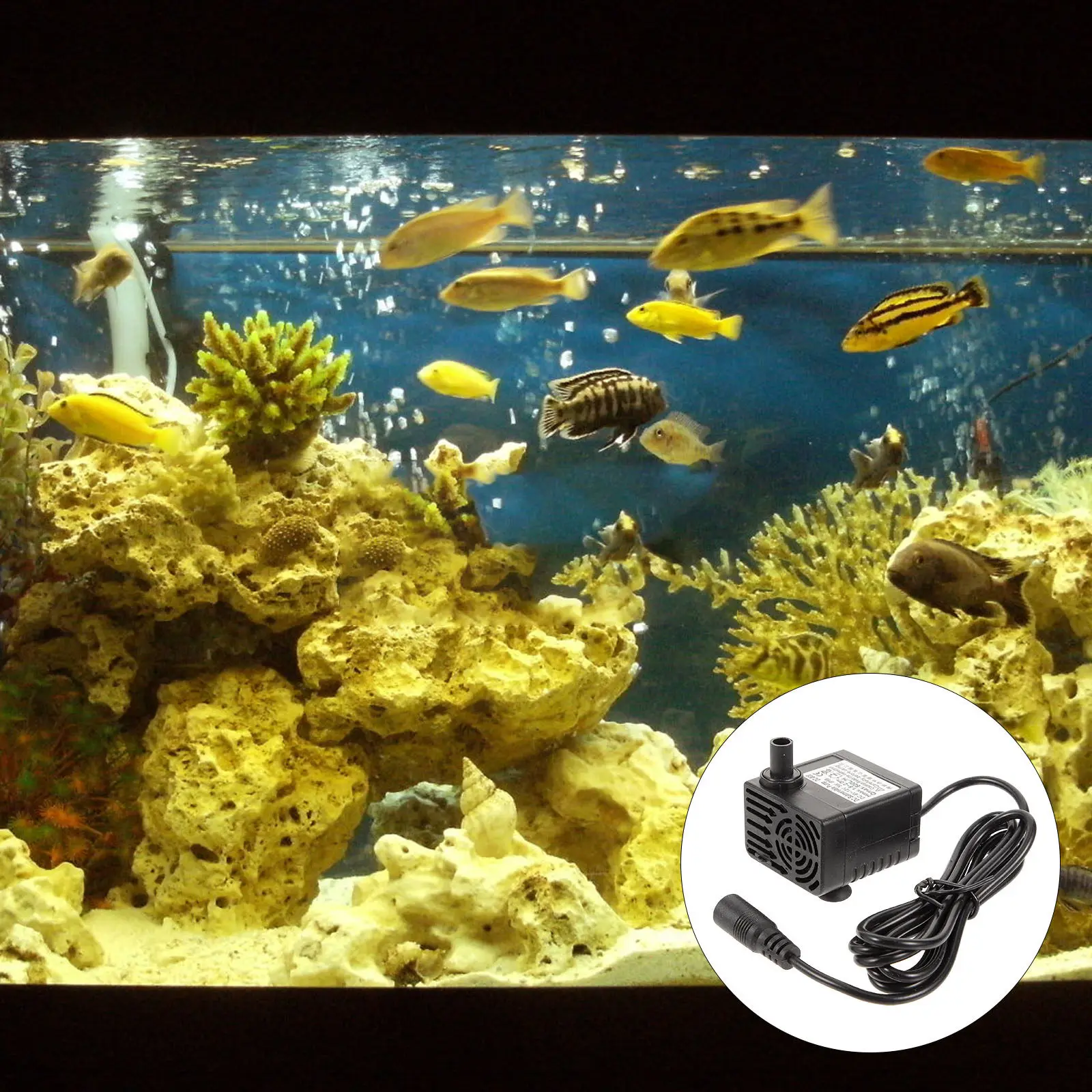 Solar Powered Subme…