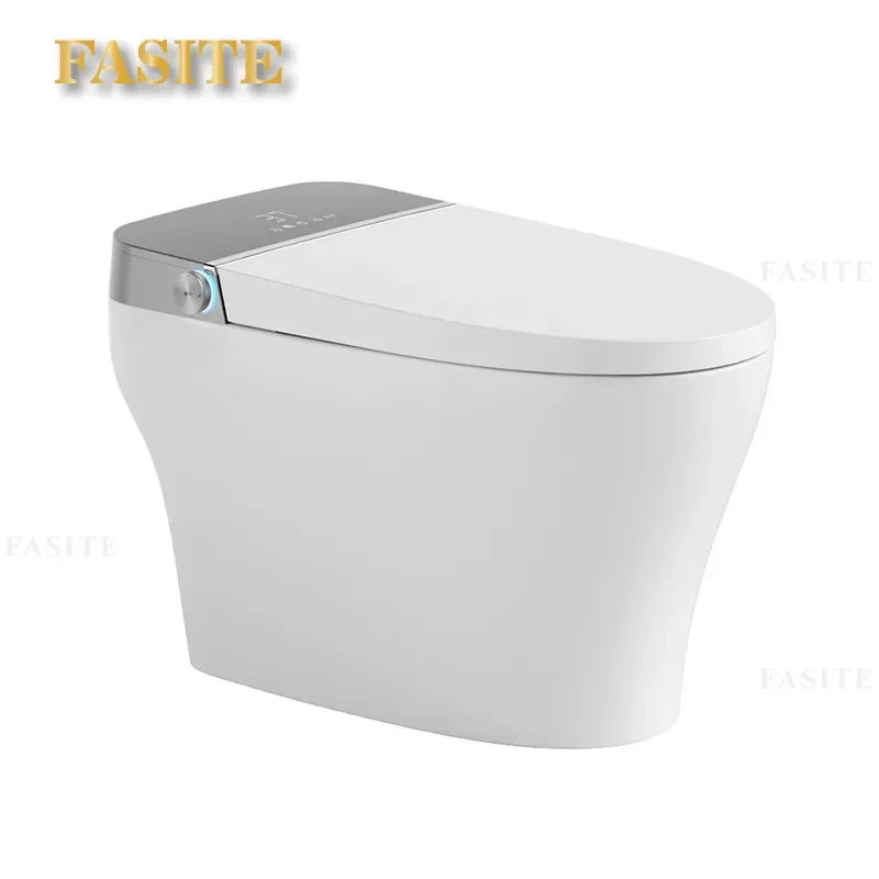 Bidet Seat No Water Pressure Limit Tank Cleaning Women Washing Remote Control Drying Instant Hot Multi
