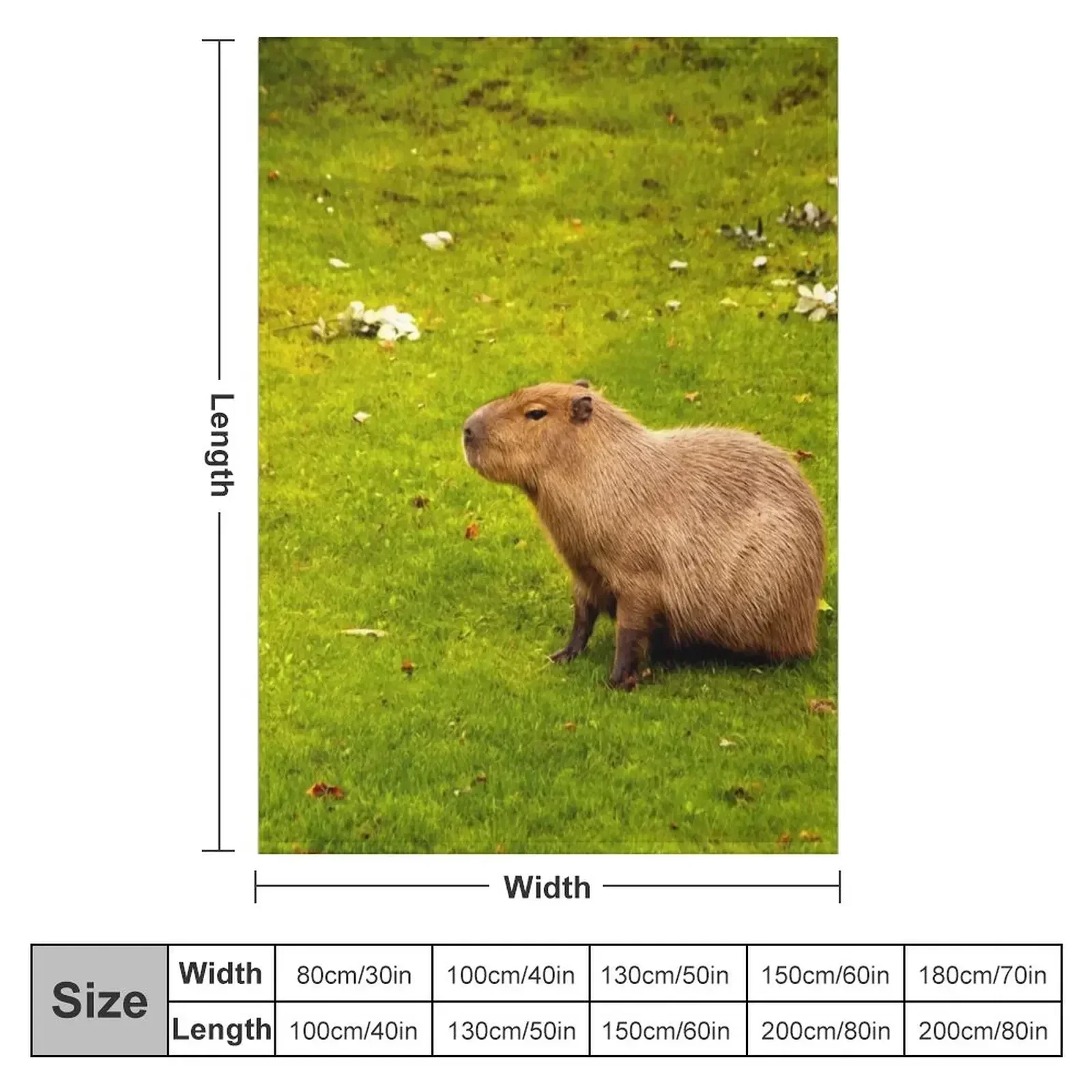 Capybara Throw Blanket halloween funny gift Luxury St Shaggy decorative Loose Blankets