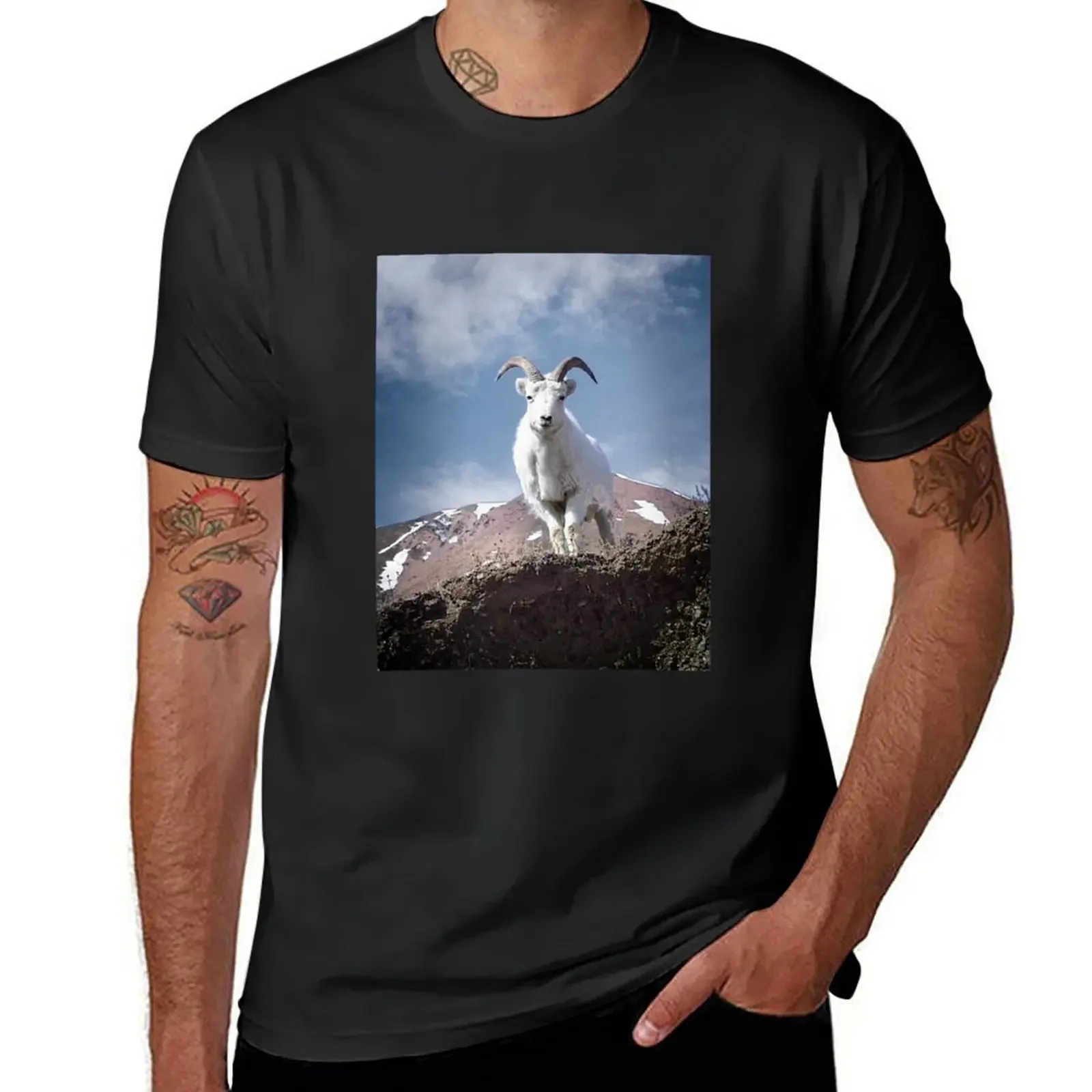 Dall Sheep on Sheep Mountain T-Shirt vintage anime shirt man clothes graphics mens white t shirts