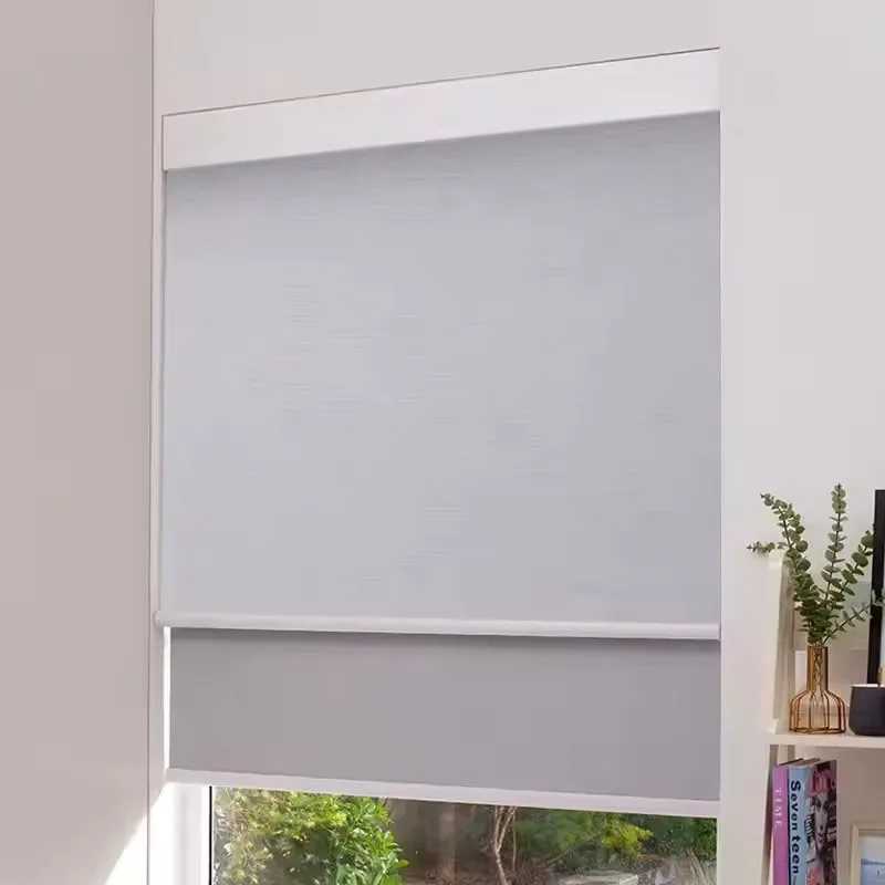 Fashion Style Customized Square Cassette Rechargeable Connect Mobile Phone Alexa Google Automatic Dual Roller Blinds For Windows