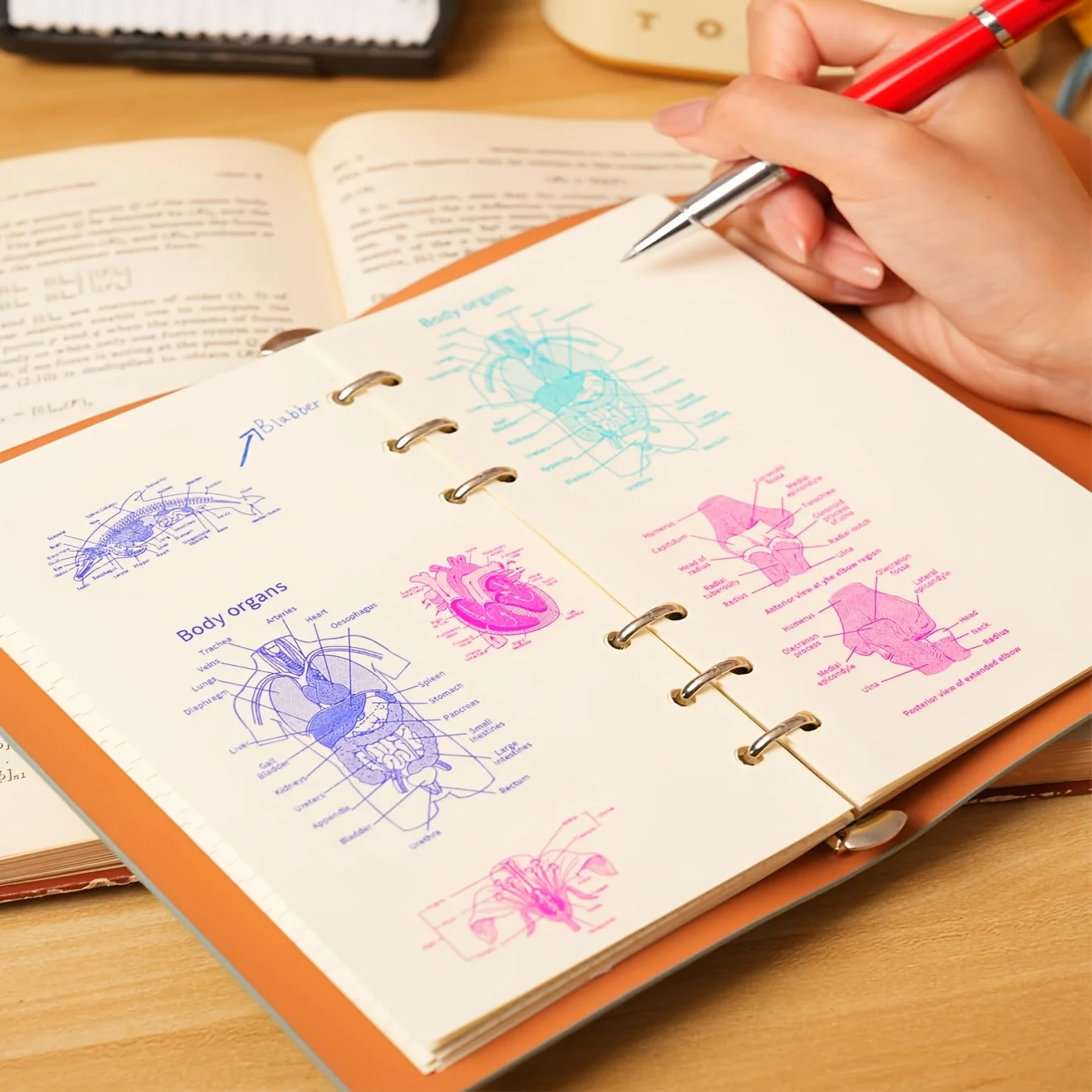 ورق ملصقات حراري شفاف وملون مع ملصقات لاصقة بيضاء، لفة طابعة صغيرة مقاس 57 مم، متوافقة مع الطابعات الصغيرة