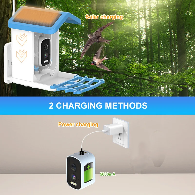 Solar Powered Smart Bird Feeder Camera with 5MP WiFi PTZ AI