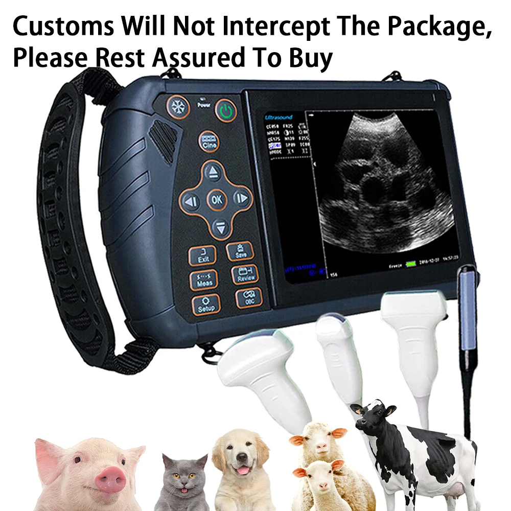 

Portable Veterinary Ultrasound Scanner Vet B-Ultra Pregnancy Machine Handheld (B, BB, 4B, B+M, M) for Pig Sheep Cattle Horse Dog