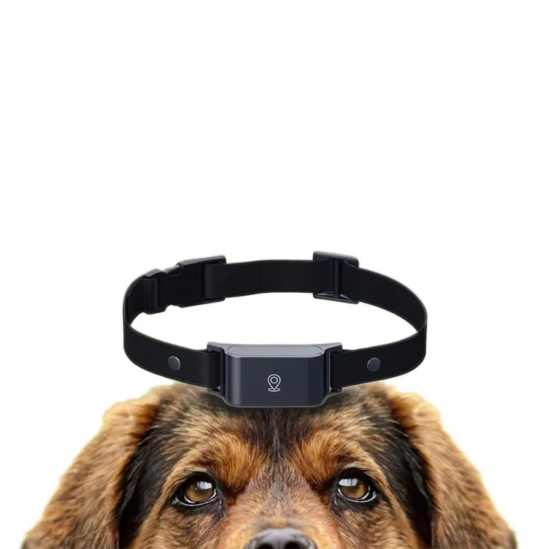 

Anti-Lost Dog Cat Collar Real-time Activity Monitor Voice Call Intelligent Global Positioning System Pet Tracker