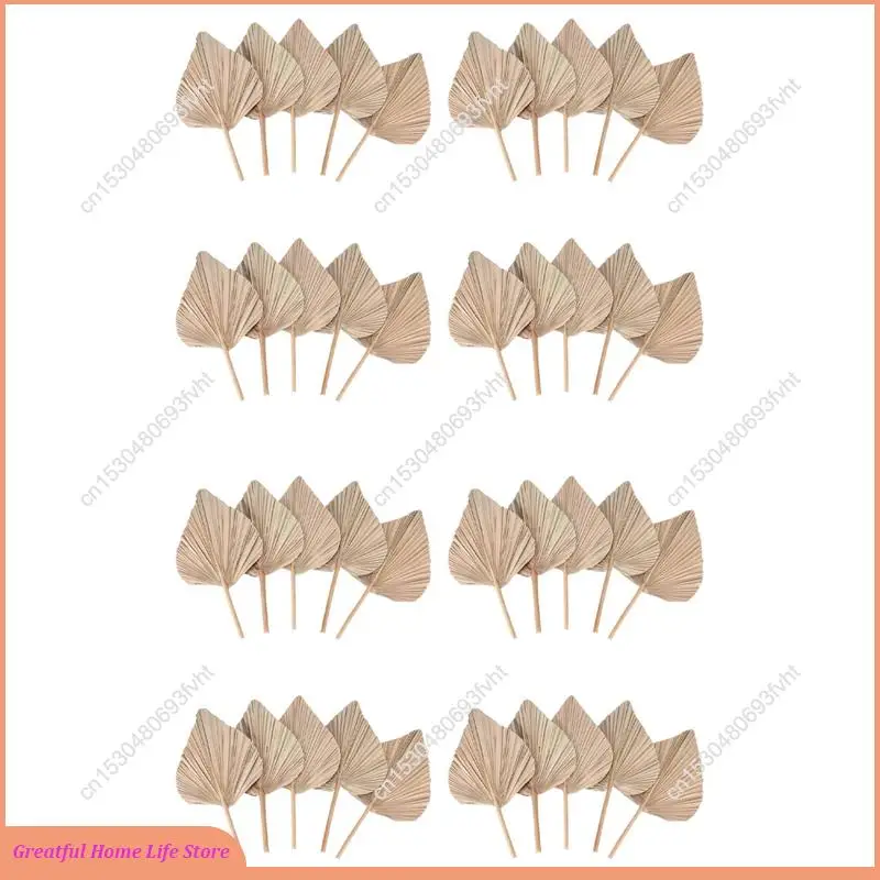 at59-feuilles-de-palmier-sechees-decor-de-piece-40-pieces-18-pouces-h-x-10-pouces-w-grand-decor-de-feuille-de-palmier-naturelle-pour-un-beau-look-boho