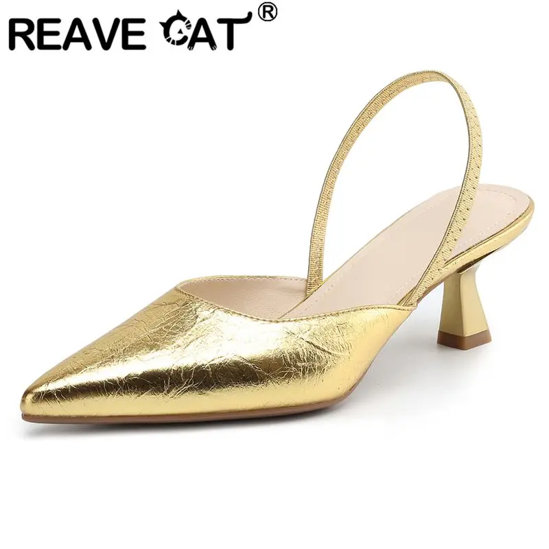 

REAVE CAT 2025 Сексуальные женские сандалии с острым носком, необычные каблуки 5,5 см, слипоны с ремешком сзади, большой размер 41, 42, модная женская обувь для свиданий