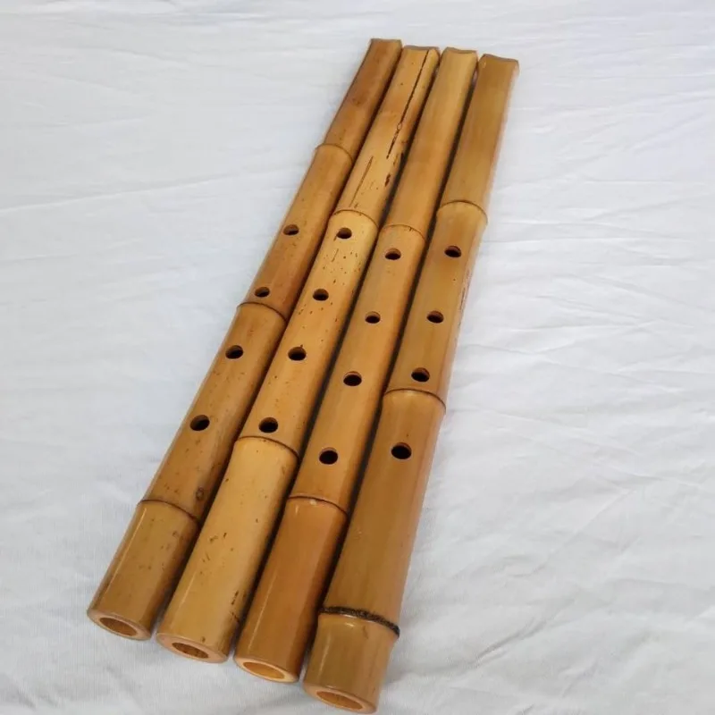 Handmade Bamboo Shakuhachi Beginner Practice Shakuhachi Traditional Performance Vertical Flute Professional Woodwind Instruments