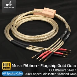 ATAUDIO HiFi Speaker Cable High-end 8N OCC Pure Silver Gold Odin Speaker Wire with Banana Y Plug for Amplifier Speaker Wire