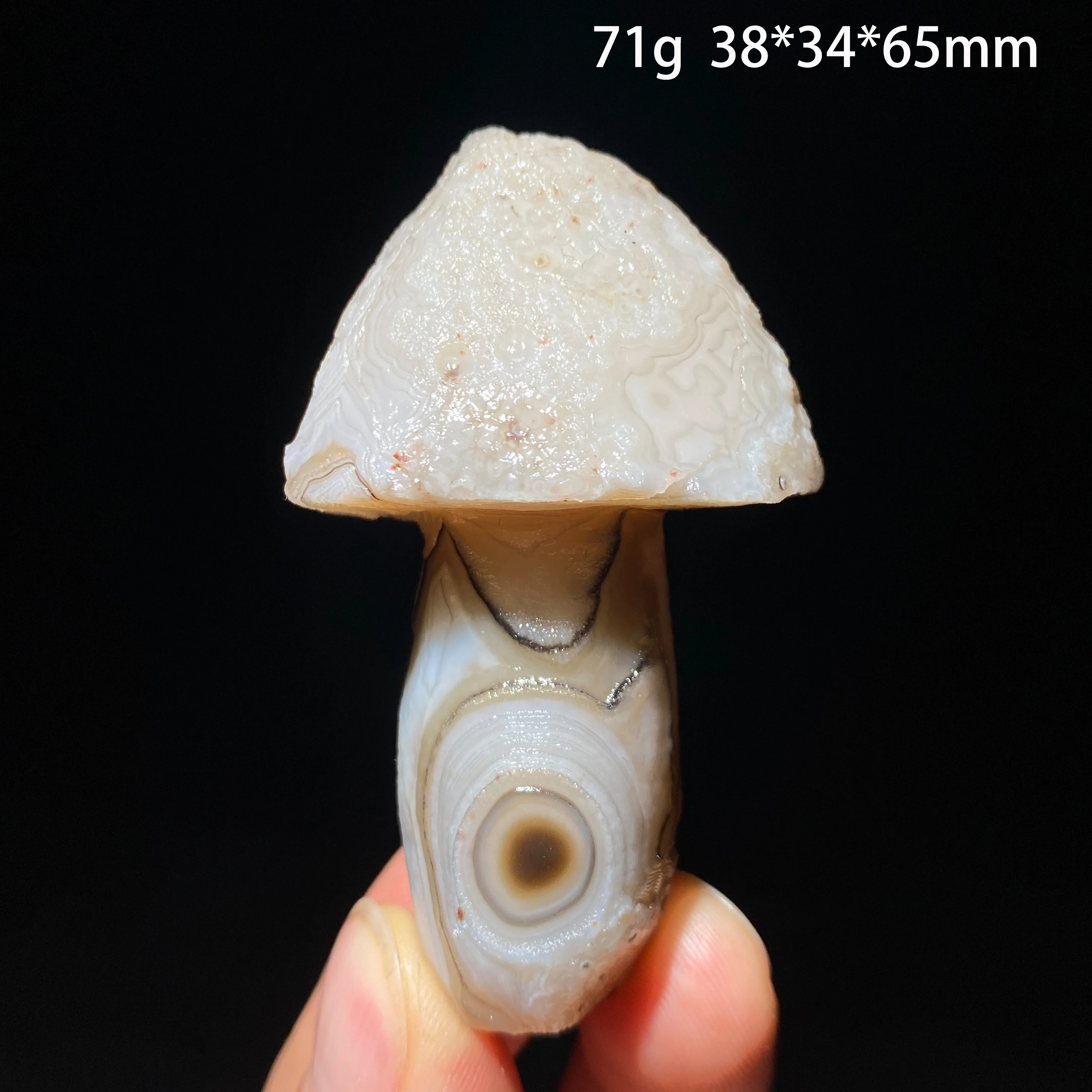 Natural Sardonyx Agate Alxa Gobi Eye Black Color Mushroom Mineral Specimen Crystal Chakra Reiki Healing Stone Garden Decor Gift