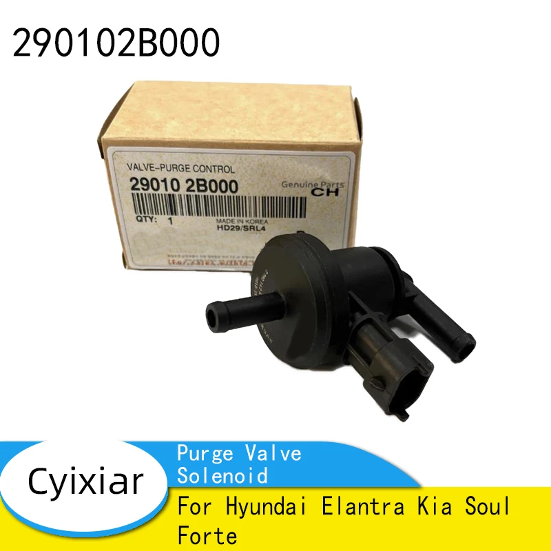 290102 Solenoide de válvula de purga de recipiente de vapor B000 para Hyundai Elantra Kia Soul Forte 20910-2B000