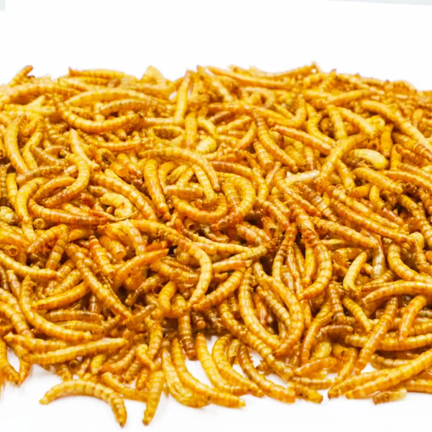 

Hamster chew toys, insect-dried toys, chinchilla toys, golden hamster toys, rabbit toys, guinea pig habitat supplies
